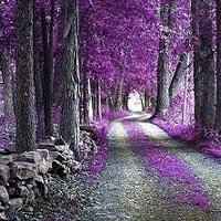 大自然风景头像