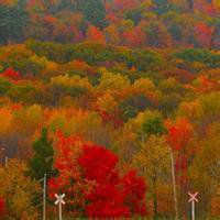 大自然风景头像