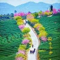 大自然风景头像