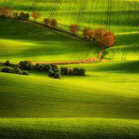 大自然风景头像