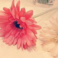 安静的头像图片唯美