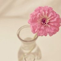 安静的头像图片唯美