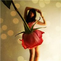 安静的头像图片唯美