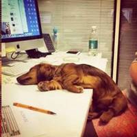 工作加班微信头像