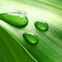 干净适合夏天的头像