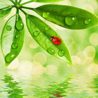 干净适合夏天的头像