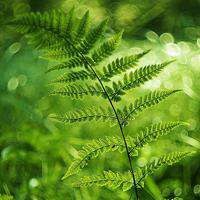 干净适合夏天的头像