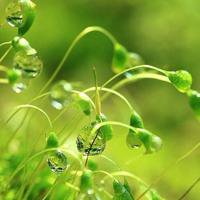 干净适合夏天的头像