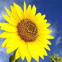 干干净净清清爽爽头像图片