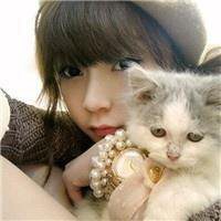 抱猫的女生头像