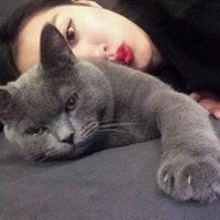 抱猫的女生头像
