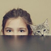 抱猫的女生头像