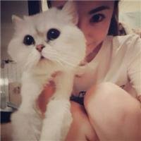 抱猫的女生头像