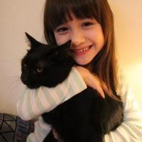 抱猫的女生头像