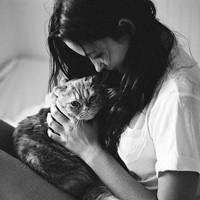 抱猫的女生头像