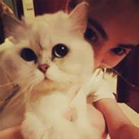 抱猫的女生头像