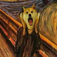 抱猫的女生头像