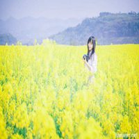 春天大自然风景头像