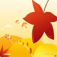 枫叶头像图片大全