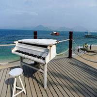 海边弹钢琴唯美头像