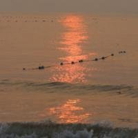 海边日出头像图片