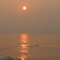 海边日出头像图片