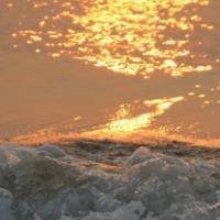 海边日出头像图片