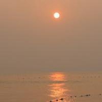 海边日出头像图片