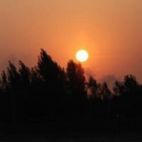 海边日出头像图片