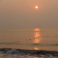 海边日出头像图片