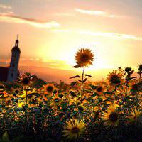 海边日出头像图片