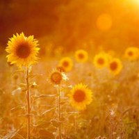 积极向上微信头像