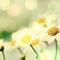 红花绿叶头像图片