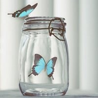 蝴蝶头像图片大全