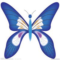 蝴蝶头像图片大全