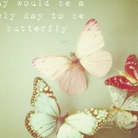 蝴蝶头像图片大全