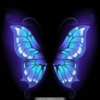 蝴蝶头像图片大全