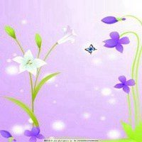 蝶恋花好看微信头像