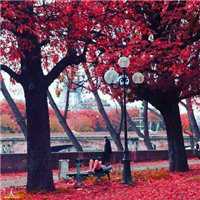 街道头像高清图片