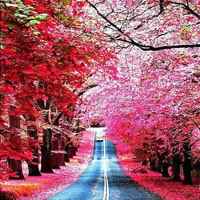 街道头像高清图片