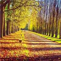 街道头像高清图片