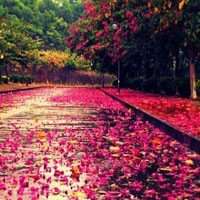 街道头像高清图片