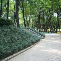 街道头像高清图片