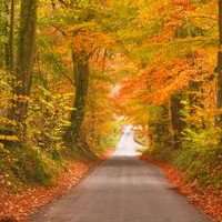 街道头像高清图片