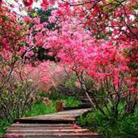 街道头像高清图片