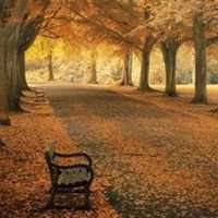 街道头像高清图片