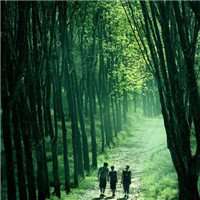 街道头像高清图片