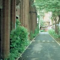 街道头像高清图片