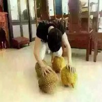 跪榴莲头像
