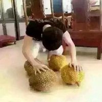 跪榴莲头像